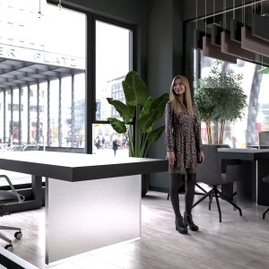 Panou acustic Petfelt LineaPlus vertical in zona de lucru